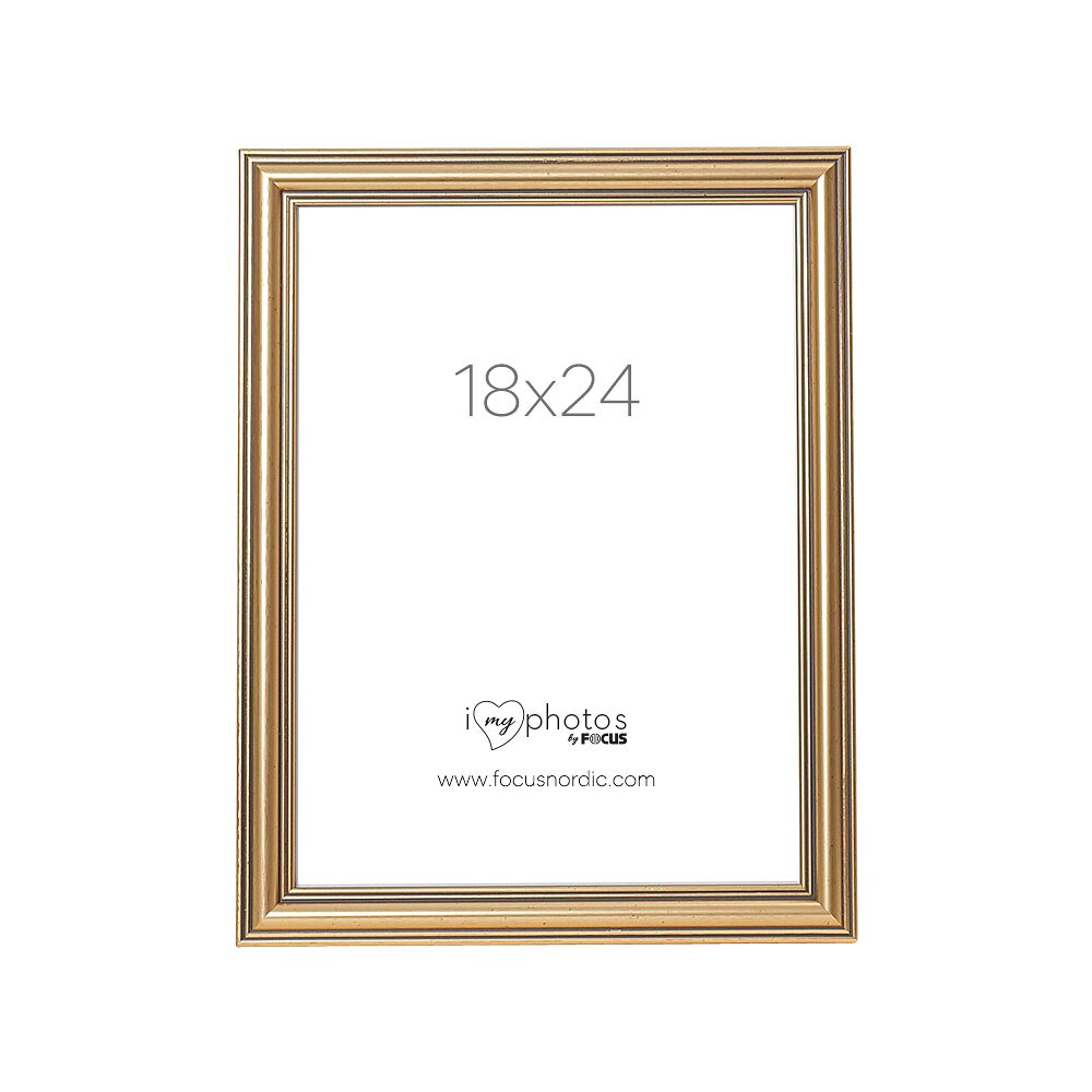 FOCUS Focus Tango Classic Gold 18x24