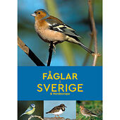 Peter Goodfellow Fåglar i Sverige & Nordeuropa (häftad)