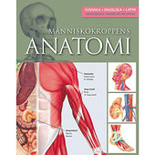 Ken Red Ashwell Människokroppens anatomi (inbunden)