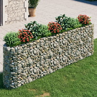 vidaXL Planteringsgabion galvaniserat järn 330x50x100 cm