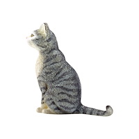 Schleich Schleich World of Nature: Farm Life - Cat, sitting