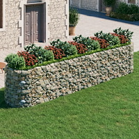vidaXL Planteringsgabion galvaniserat järn 500x100x100 cm