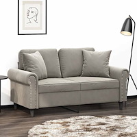 vidaXL 2-sitssoffa med kuddar och dynor ljusgrå 120 cm sammet