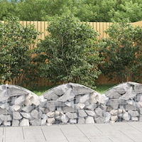vidaXL Gabion bågformad 100x30x40/60 cm galvaniserat järn