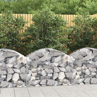 vidaXL Gabion bågformad 100x50x60/80 cm galvaniserat järn