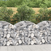 vidaXL Gabion bågformad 100x50x80/100 cm galvaniserat järn