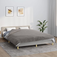 vidaXL Tyngdtäcke med påslakan grå 200x220 cm 9 kg tyg
