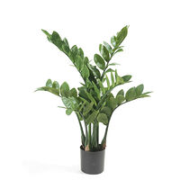 Emerald Emerald Konstväxt garderobsblomma 70 cm