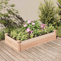 vidaXL Odlingslåda med foder 120x60x25 cm massivt granträ