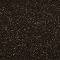 vidaXL Trappstegsmattor självhäftande 15 st mörkbrun 56x17x3 cm brodyr