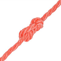 vidaXL Tvinnat rep i polypropylen 10 mm 100 m orange