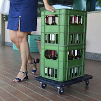 vidaXL Transportvagn svart 58x38x12 cm PP