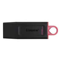 Kingston Technology Kingston DataTraveler Exodia - USB flash-enhet - 256 GB