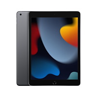 Apple Apple iPad 256 GB 25,9 cm (10.2") Wi-Fi 5 (802.11ac) iPadOS 15 Grå