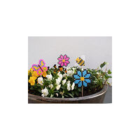 Playbox Blomsterpinnar 6 mm 50/fp