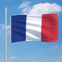 vidaXL Frankrikes flagga 90x150 cm