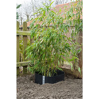 Nature Rotbarriär ark natur 0,7 x 5 m HDPE Svart 6030227