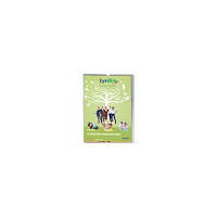 Lyreco BUDGET Plastfodral LYRECO budget A4 0,13 25/fp