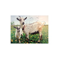 No Brand Pussel bondgårdsdjur 8 olika pussel