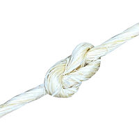 vidaXL Rep 100% sisal 2 mm 3000 m