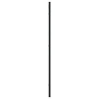 vidaXL Väggspegel svart 40x80 cm rektangulär järn