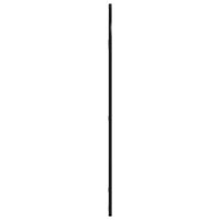 vidaXL Väggspegel svart 50x100 cm bågformad järn