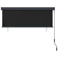 vidaXL Rullgardin utomhus 160x250 cm antracit