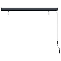 vidaXL Rullgardin utomhus 160x250 cm antracit