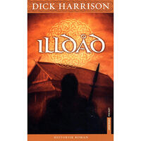 Dick Harrison Illdåd (pocket)