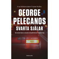 George Pelecanos Svarta själar (pocket)