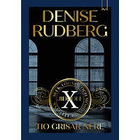 Denise Rudberg Tio grisar nere (bok, kartonnage)