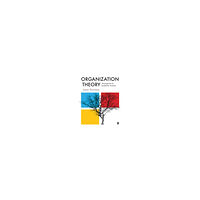 Jesper Blomberg Organization Theory - Management and Leadership Analysis (bok, eng)