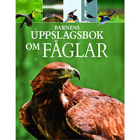 Claudia Martin Barnens uppslagsbok om fåglar (inbunden)