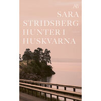 Sara Stridsberg Hunter i Huskvarna (pocket)