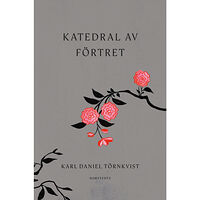 Karl Daniel Törnkvist Katedral av förtret (inbunden)