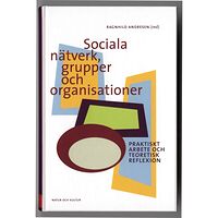 Natur & Kultur Akademisk Sociala nätverk, grupper och organisationer : praktiskt arbete och teoretisk reflexion (bok, kartonnage)