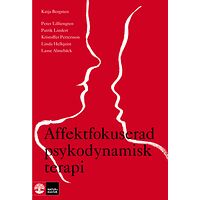 Natur & Kultur Akademisk Affektfokuserad psykodynamisk terapi : teori, empiri och praktik (bok, danskt band)