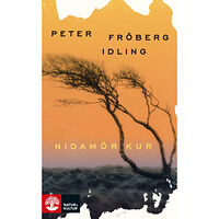 Peter Fröberg Idling Nidamörkur (pocket)
