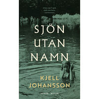 Kjell Johansson Sjön utan namn (pocket)