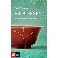 Åsa Nilsonne Processen : möten, mediciner, beslut (inbunden)