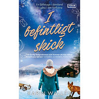 Karin Wallén I befintligt skick (pocket)