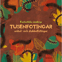 Susie Williams Tusenfotingar och enkel- och dubbelfotingar (inbunden)