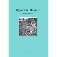 Gudrun Winfridsson Uppväxtår i Blekinge : elva noveller (bok, danskt band)