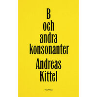 Andreas Kittel B och andra konsonanter (inbunden)