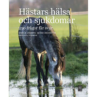 Ica Bokförlag Hästars hälsa och sjukdomar : 250 frågor får svar (inbunden)