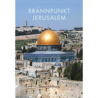 Sture Ahlberg Brännpunkt Jerusalem : om judendom, kristendom, islam, fundamentalism, fred och försoning i den heliga staden (bok, kart...