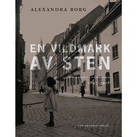 Alexandra Borg En vildmark av sten : Stockholm i litteraturen 1897-1916 (inbunden)