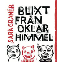 Sara Granér Blixt från oklar himmel (inbunden)