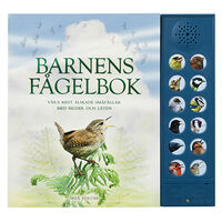 Andrea Pinnington Barnens fågelbok : våra mest älskade småfåglar med bilder och läten (bok, board book)