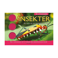 Jen Green 3D-Utforskaren : Insekter (bok, kartonnage)